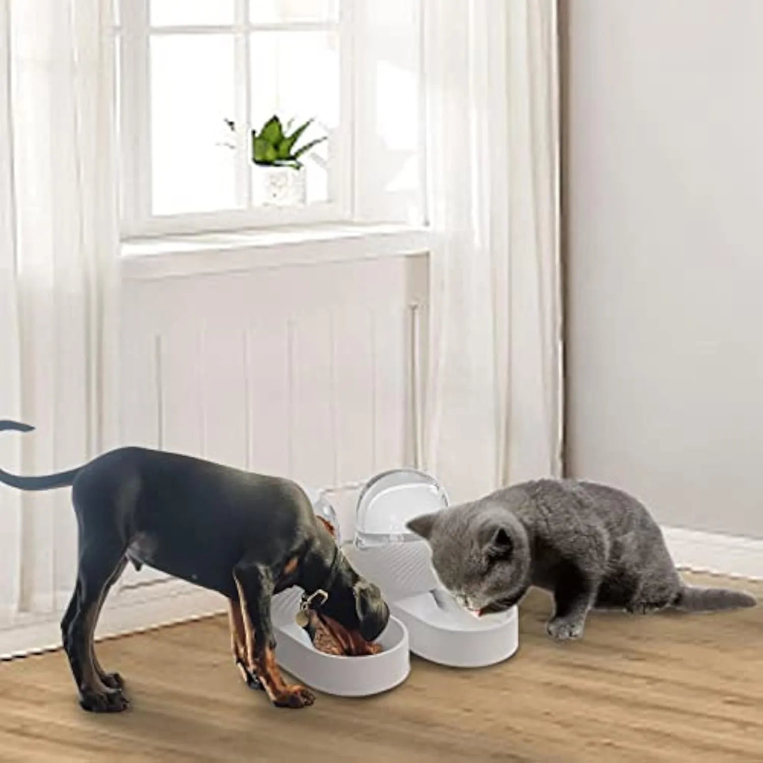 White automatic gravity cat feeder and water dispenser set with wave-patterned design.