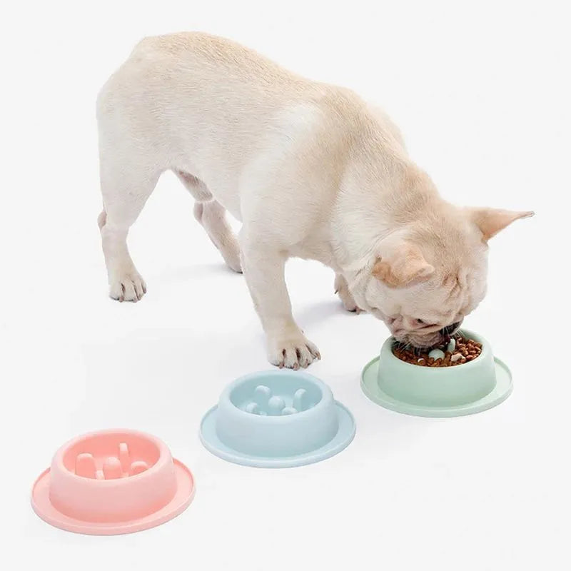 PP slow feeder pet bowl with raised partitions in blue colour showing non-slide base mats
