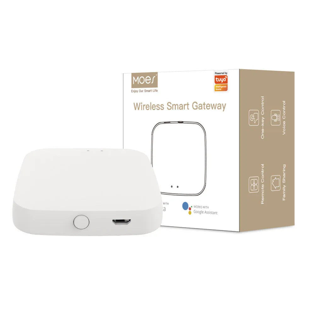 BWV-YC intelligent garden irrigation water valve smart home control system with irrigation valve