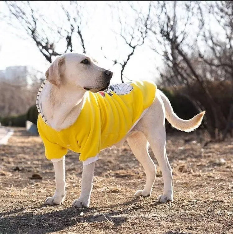 Dog wearing a polyester two-legged sweatshirt in blue, with back length and chest size measurements visible.