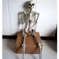 Full 170 cm tall plastic skeleton prop with detailed bones and skull on white background.