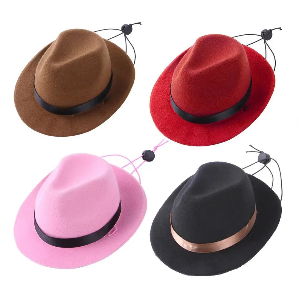 Small wool felt pet hat in four colours for dogs and cats with 155cm diameter