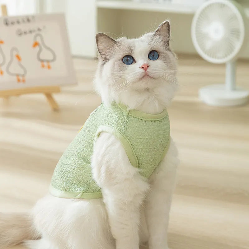 Cat wearing hollowed-out breathable clothes with bear patch in knitted fabric