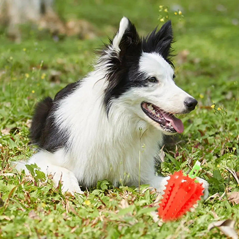 Interactive dog teething chew toy in TPR rubber, 10x5.2cm, treat dispensing, beef scent, green red yellow
