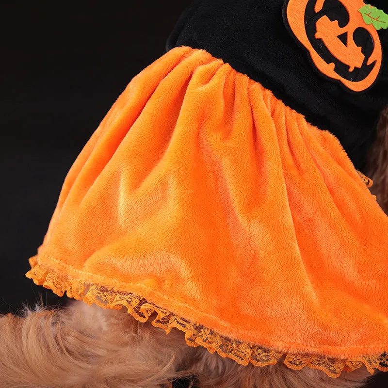 Small dog wearing a crystal velvet Halloween pumpkin skirt costume next to a Halloween sweater pet outfit.