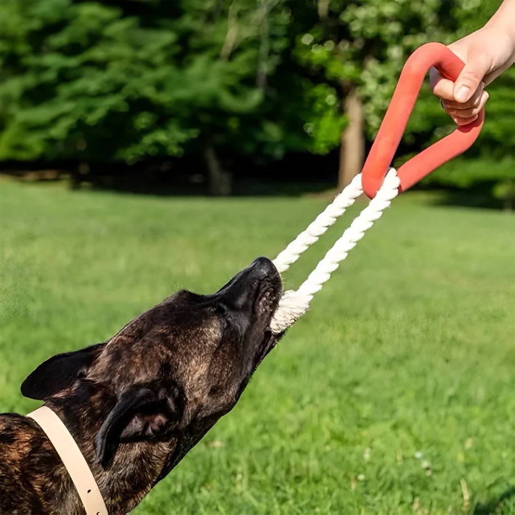 Large triangular pet pull ring toy made from cotton rope in beige, pink, or purple colour.