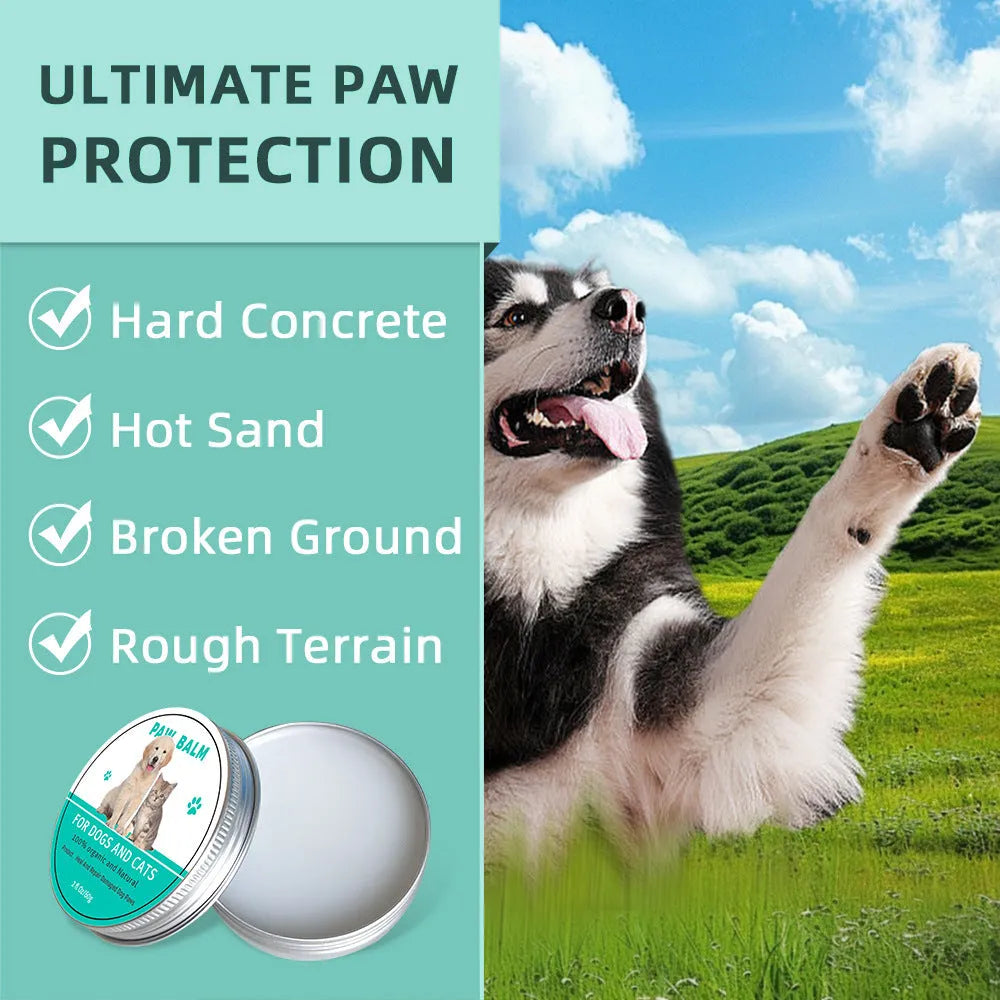 60g tube of Pet Claw Care Cream nourishing balm for dog and cat paws