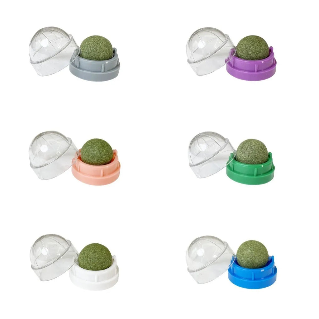 Plastic catnip ball dental toy in multiple colours with bite-resistant construction