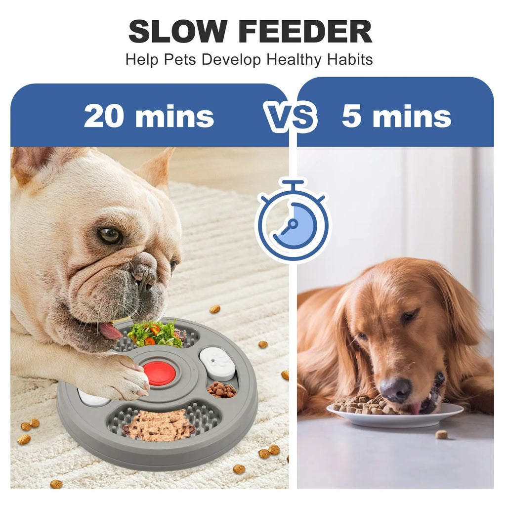 Blue and grey pet slow feeder bowl with anti-slip pads and textured eating surface