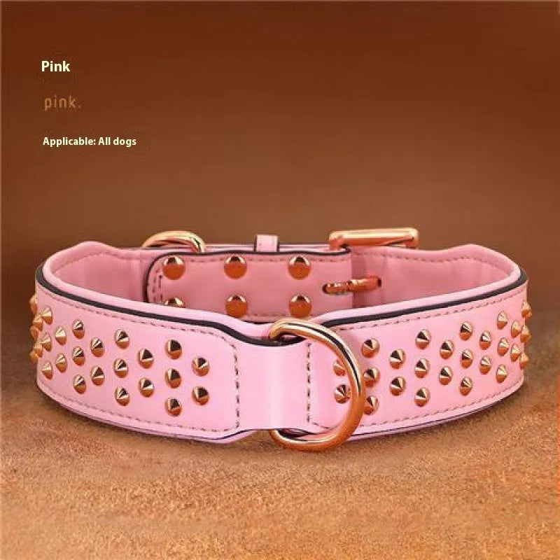 Brown leather dog collar with silver metal rivets on a black background.