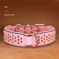 Brown leather dog collar with silver metal rivets on a black background.