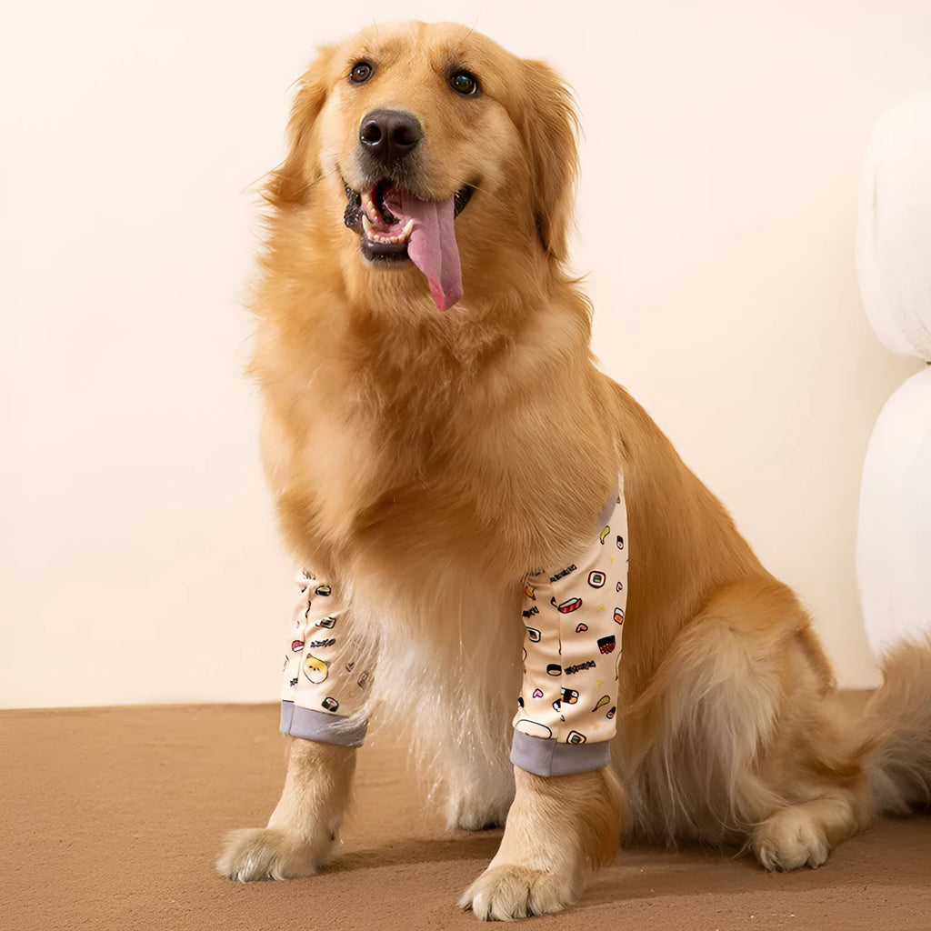 Dog wearing blue knee protector pad with elbow padding and matching scarf with doggie print pattern