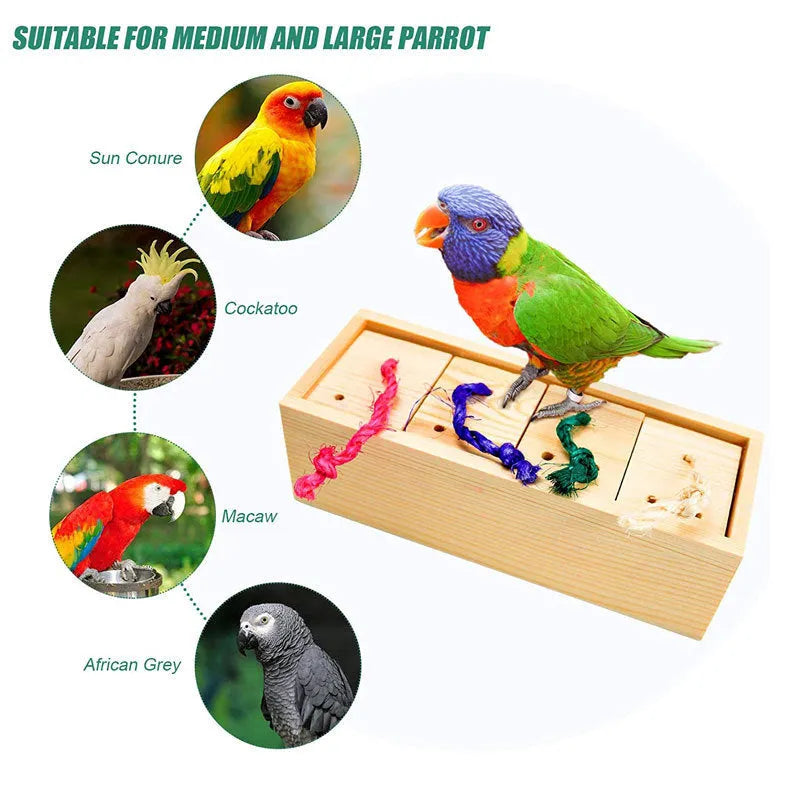 Wooden puzzle toy for parrots with interchangeable pieces for bird enrichment