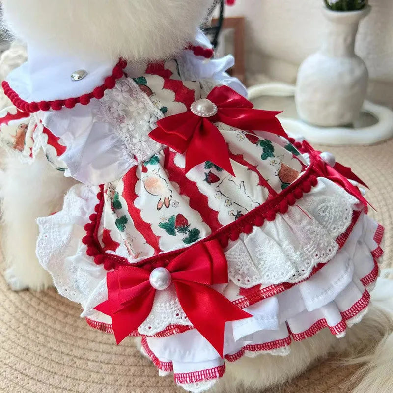 Rabbit-themed princess skirt for a small dog, shown in size M for dogs approx 2.5-3.5kg.