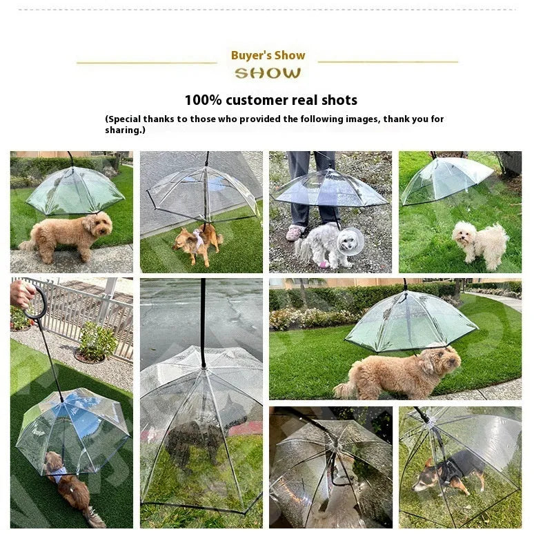 Transparent C-type adjustable pet umbrella for dogs with ABS TPU metal frame attached to leash