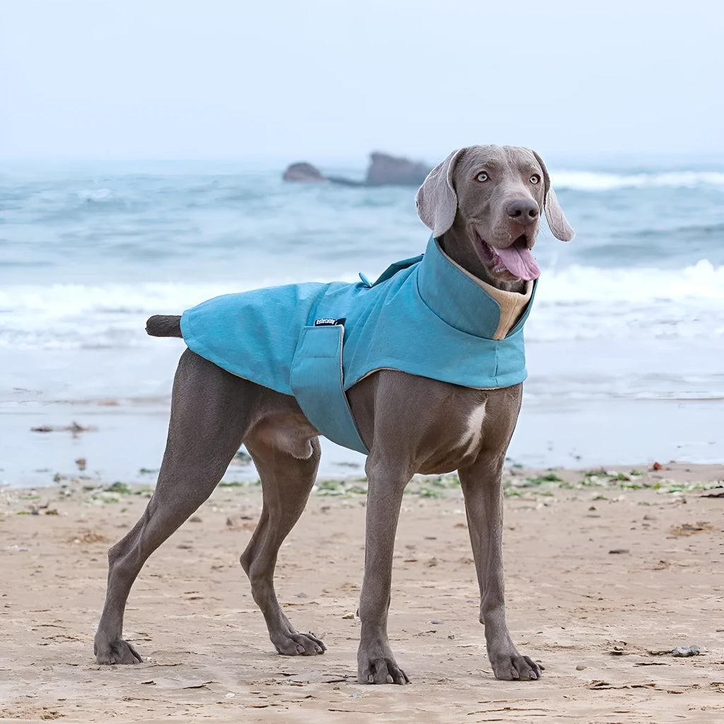 Grey polyester dog vest for a medium large breed on a mannequin.