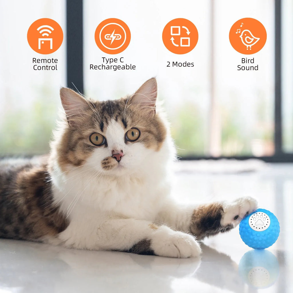 Blue remote control cat ball toy on a carpet next to its handheld remote.
