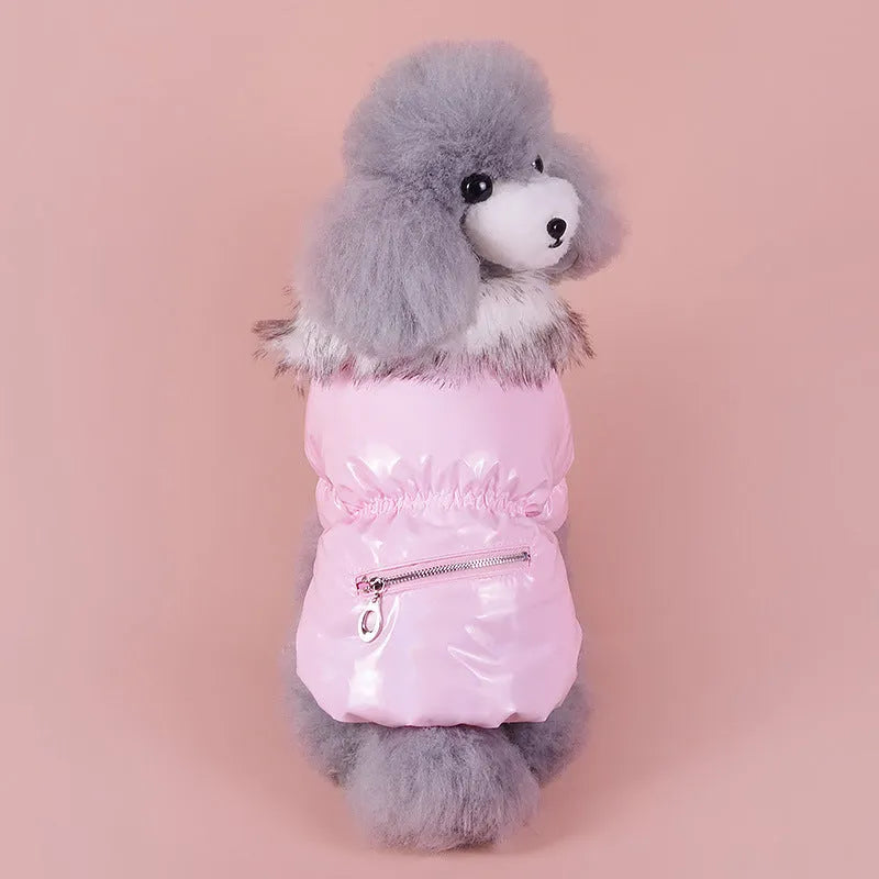 Blue British style cotton dog jacket for winter wear on medium-sized dog