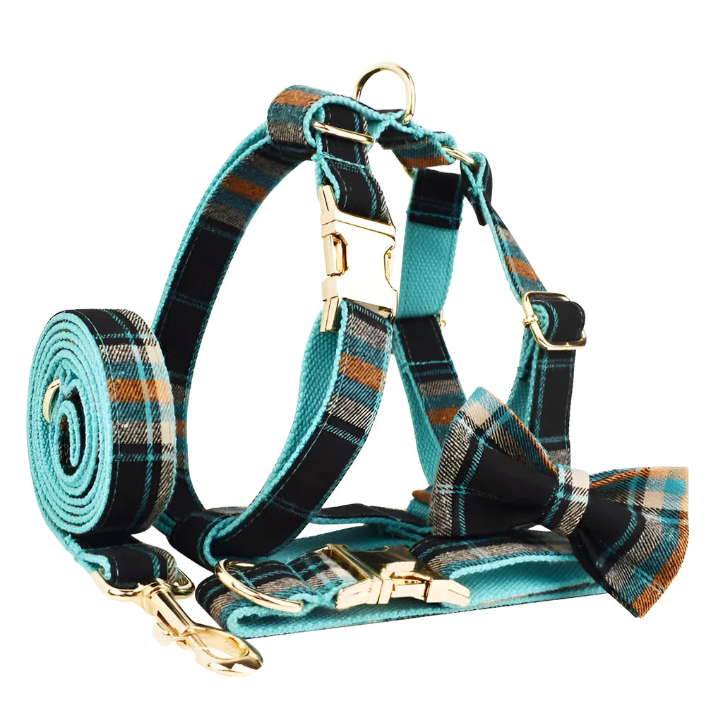Green cloth dog collar and leash set with matching vest and bow accessory in four-piece pet package
