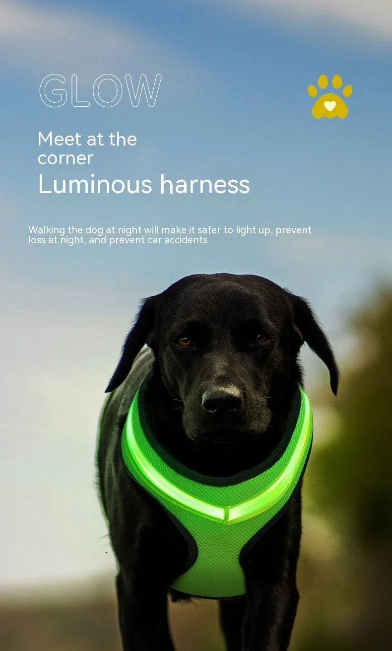 LED luminous dog harness with USB charging, mesh fabric, blue colour, size M, showing front view with battery box and plastic buckle