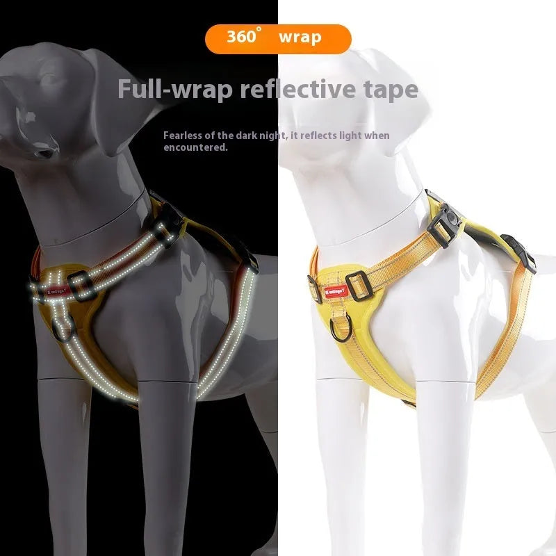 Adjustable polyester dog chest harness and matching lead in red, shown on a dog.