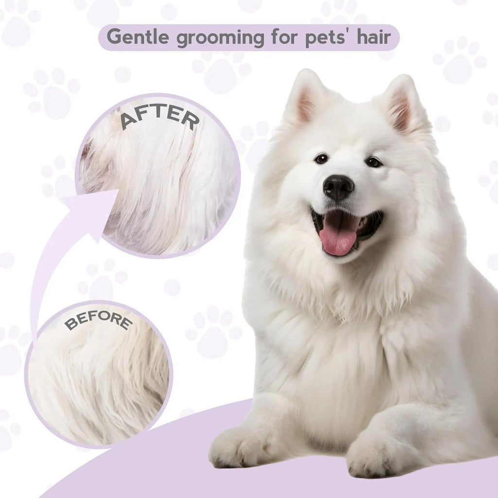 Purple pet detangling comb with stainless steel long and short teeth for dogs and cats