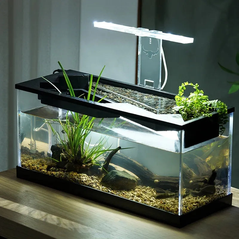 Small acrylic integrated lazy aquarium with circular filter, built-in lamp, external light, and heating mat for desktop use