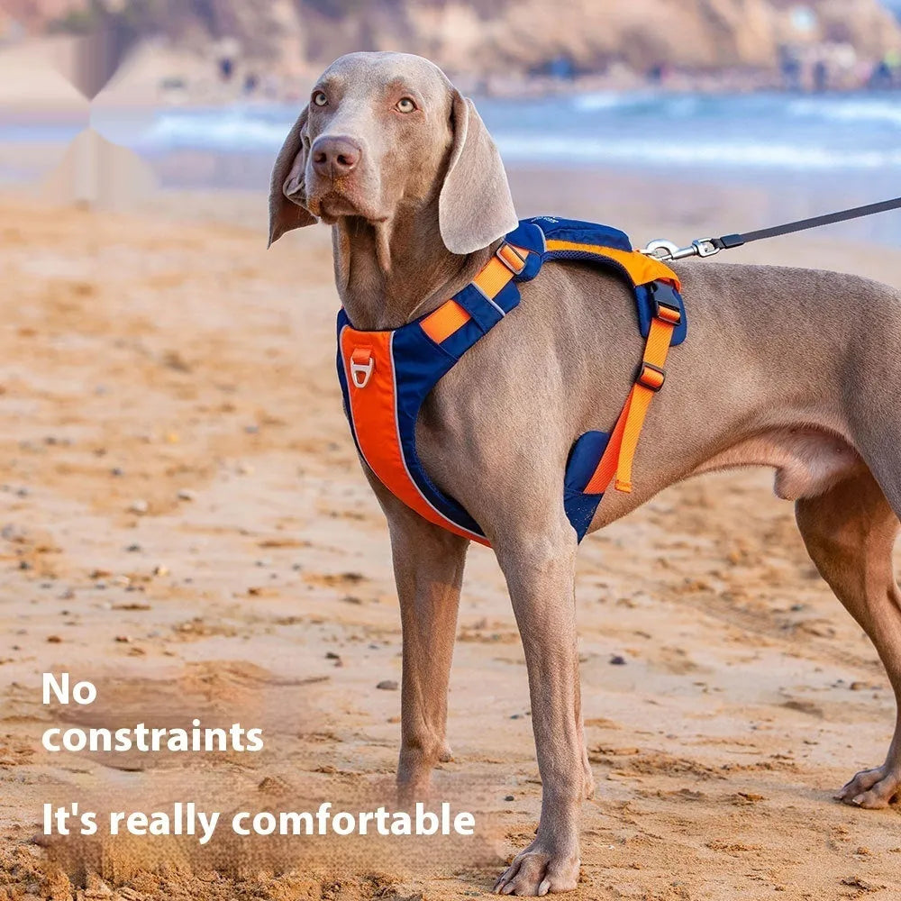 Orange blue nylon dog vest harness with hand rope attachment showing chest strap design