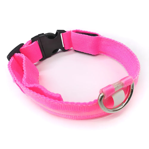 Anti-lost luminous dog collar nylon webbing with battery option in blue colour on white background