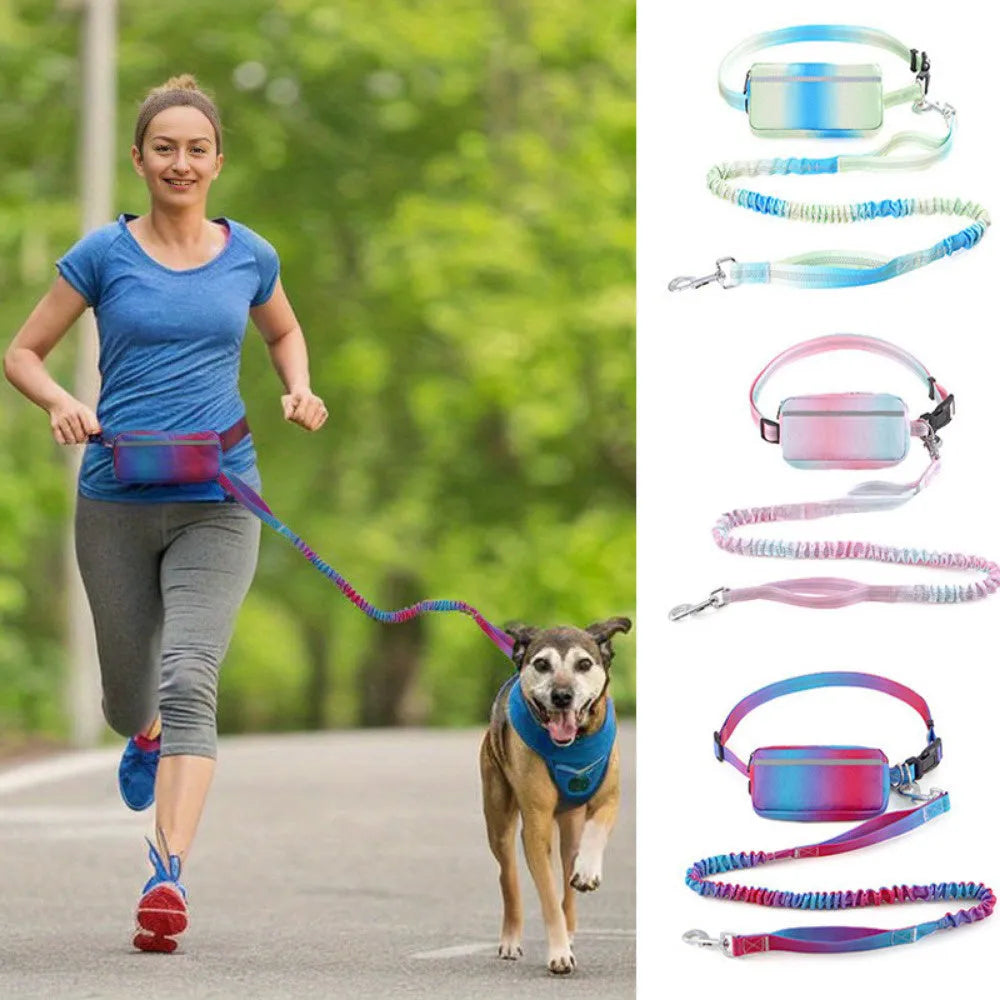 Blue adjustable hands-free dog leash with waist belt and reflective traction rope for walking and running