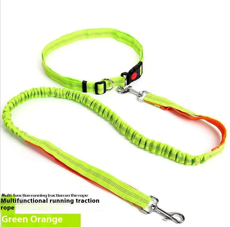 Grey and blue nylon dog leash with reflective filament and 2.5cm width.