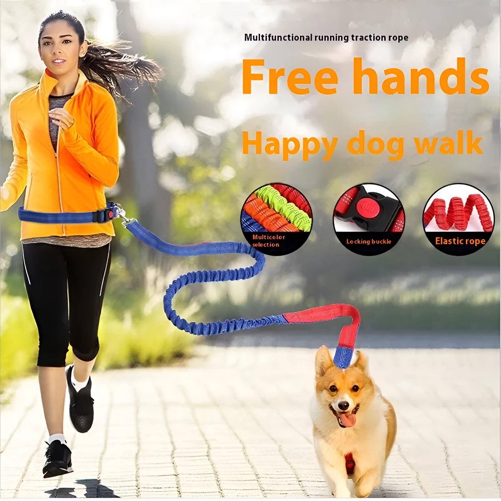 Reflective elastic dog leash in two-tone colours with 2.5cm width nylon construction