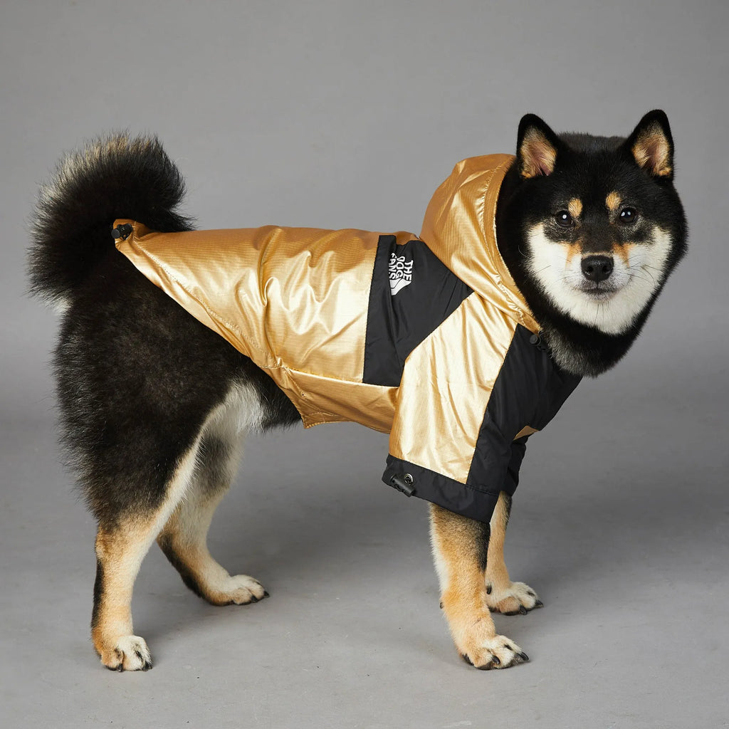 Gold polyester windproof rainproof dog raincoat shell jacket for large dogs