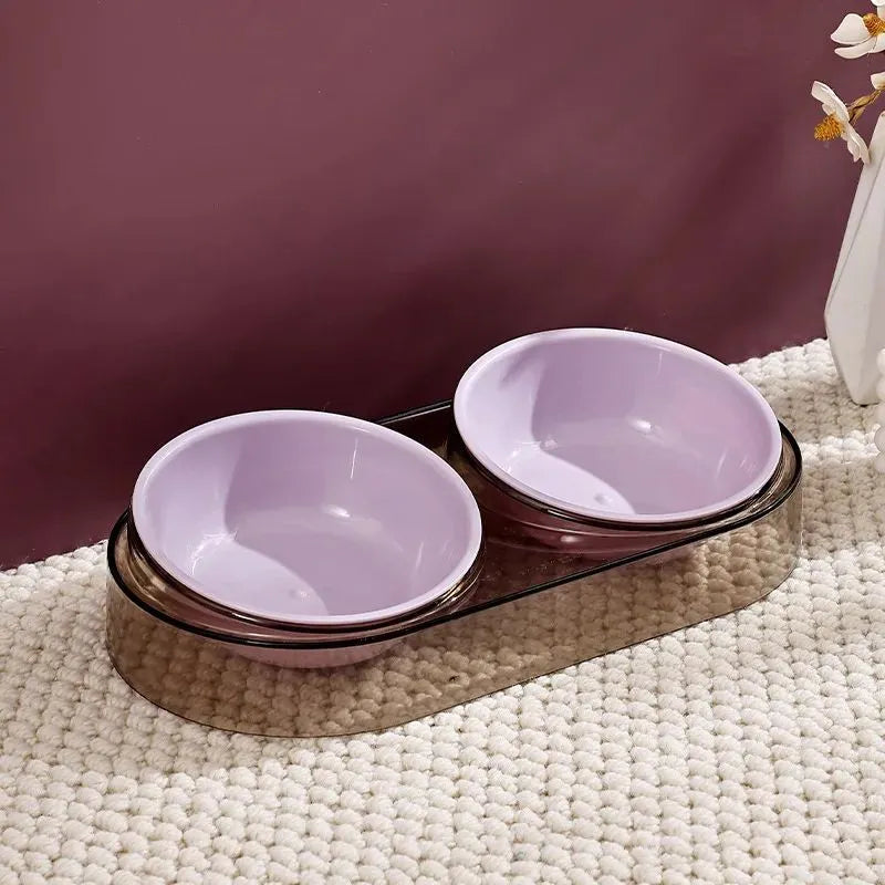 Transparent plastic double cat and dog bowl with two compartments for food and water