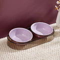 Transparent plastic double cat and dog bowl with two compartments for food and water