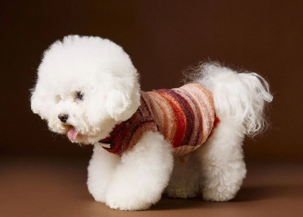 Rainbow variegated stripes sleeveless sweater vest for dogs in blue and red colours.
