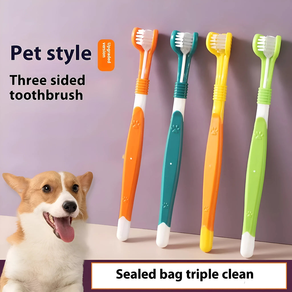 Pet toothbrush in assorted colours including orange, green, yellow, blue pink, and black and yellow.