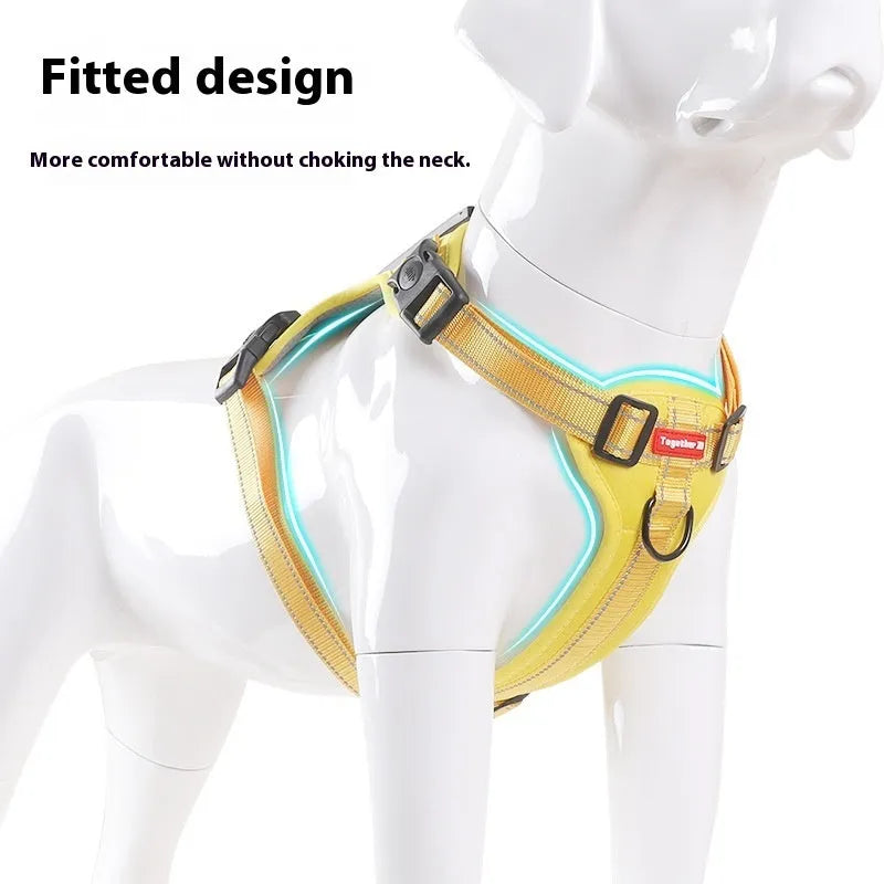 Adjustable polyester dog chest harness and matching lead in red, shown on a dog.