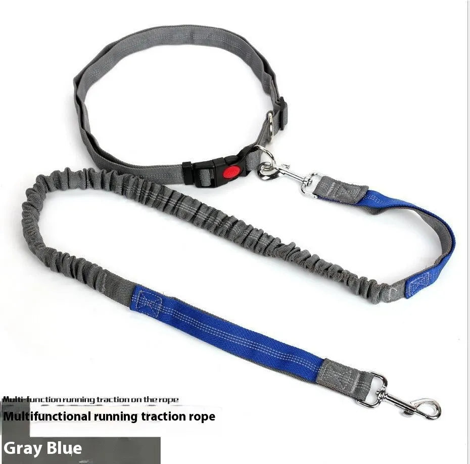Grey and blue nylon dog leash with reflective filament and 2.5cm width.