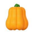Orange pumpkin-shaped plastic dog chew toy with a blue rope attached for tug and fetch games.