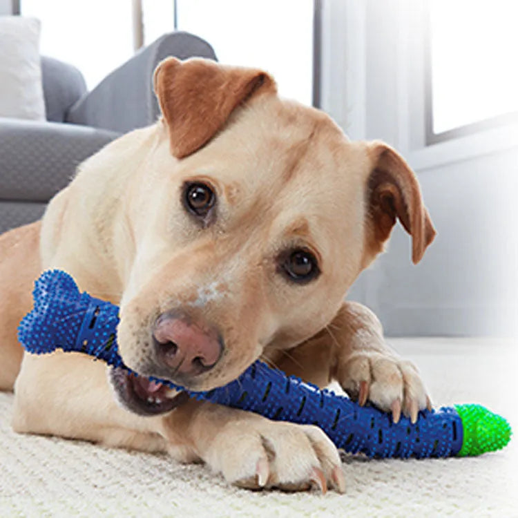 Blue and green silicone dog dental chew toy with textured brush head for teeth cleaning.