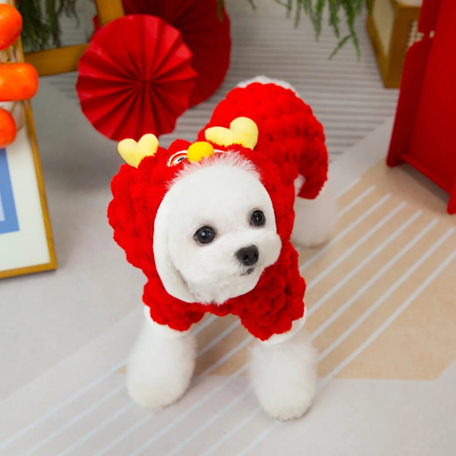 Red double-sided velvet pet jacket with a cartoon Little Dragon design for dogs and cats.
