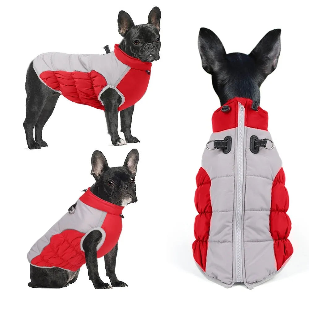 Cotton windproof winter coat for a medium or large dog in black, blue, red, or navy blue.