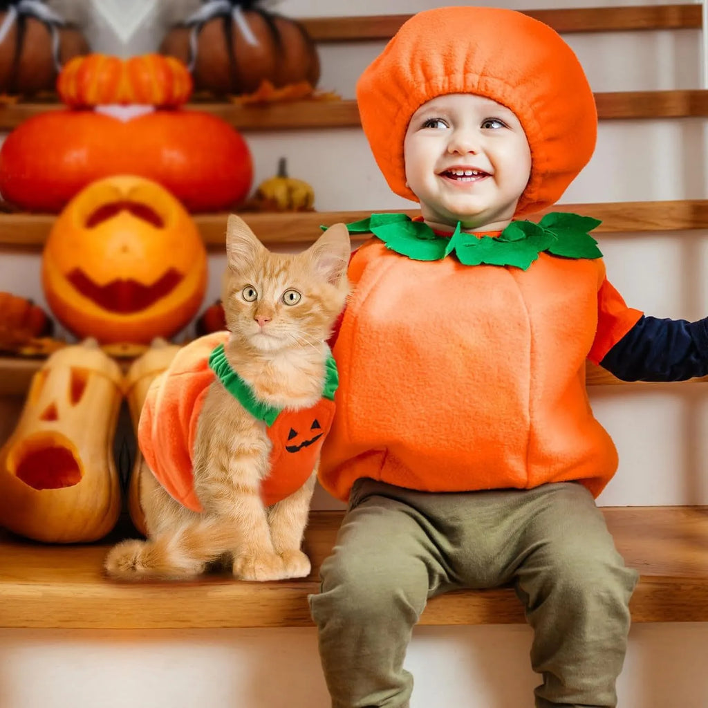 Orange plush pumpkin Halloween costume on a small dog, showing pullover design and fluffy material.
