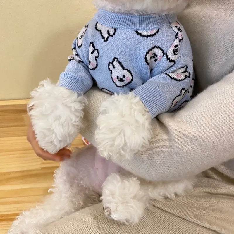 Small dog wearing a blue winter knitted sweater with charming patterns, soft polyacrylic material, side view