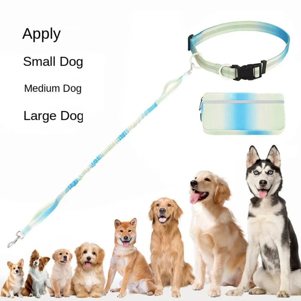 Blue adjustable hands-free dog leash with waist belt and reflective traction rope for walking and running