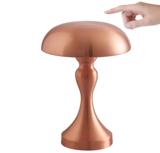 Metallic desk lamp with touch control and USB charging cable