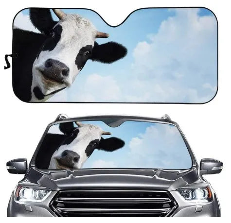 Telescopic aluminium foil car sun shield extended across a car windshield.