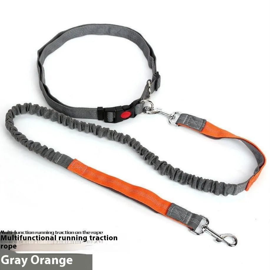 Reflective elastic dog leash in two-tone colours with 2.5cm width nylon construction