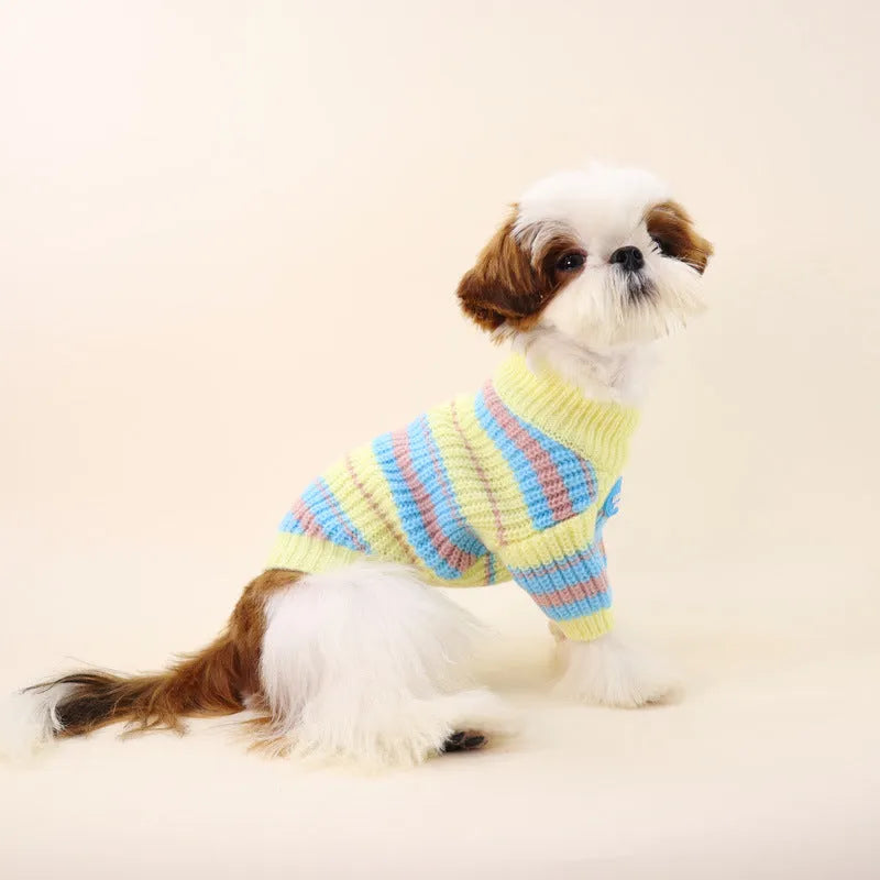Blue and yellow striped wool sweater for a small dog on a white background